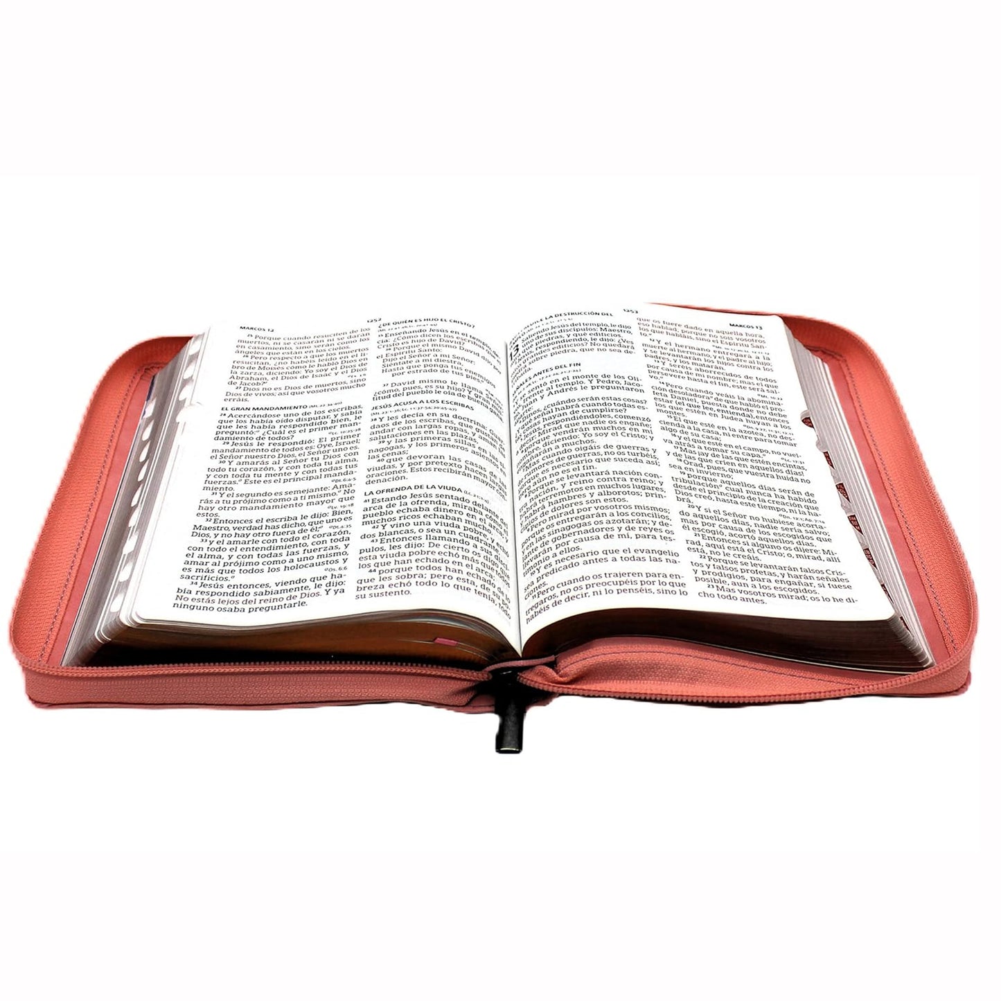 Biblia Letra Gigante Tamano Manual Con Cierre, Indice en 14 puntos