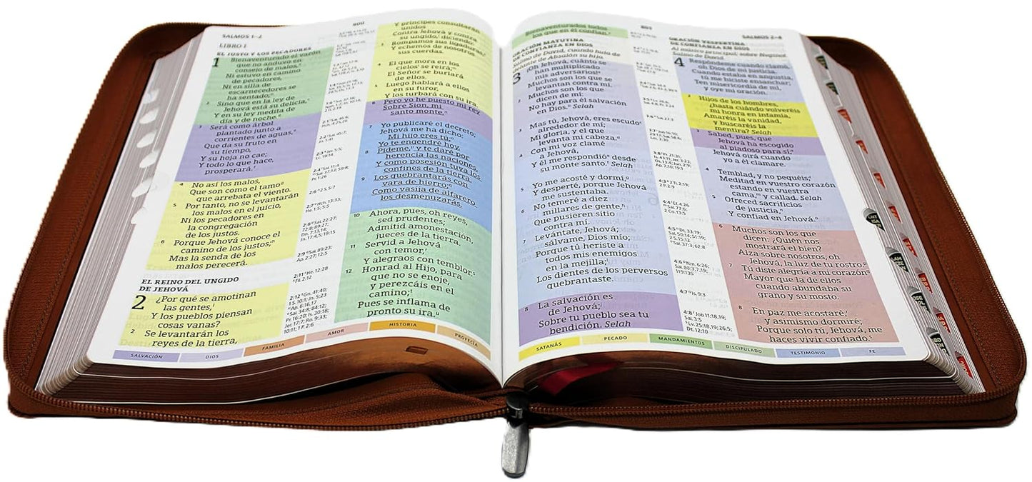 Biblia de Estudio Reina Valera 1960 Arco Iris Edicion Especial con Letra Grande color Cafe " Una Cosa he demandado a Jehova esta Buscare"