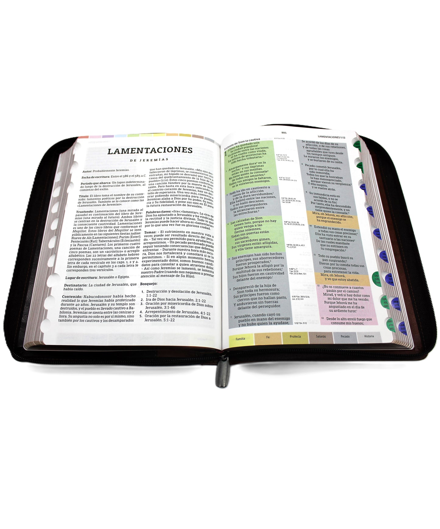 Biblia de Estudio Reina Valera 1960 Arco Iris con Cierre Indice en color Cafe con Cafe claro y estuche de proteccion