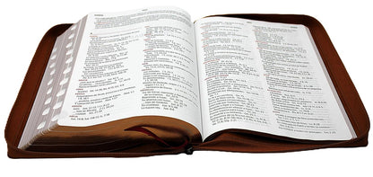 Biblia de Estudio Reina Valera 1960 Arco Iris Edicion Especial con Letra Grande color Cafe " Una Cosa he demandado a Jehova esta Buscare"