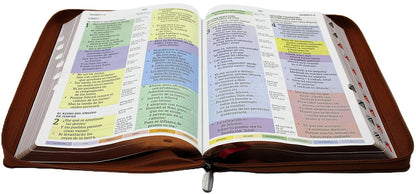 Biblia de Estudio Reina Valera 1960 Arco Iris Edicion Especial con Letra Grande color Cafe " Una Cosa he demandado a Jehova esta Buscare"