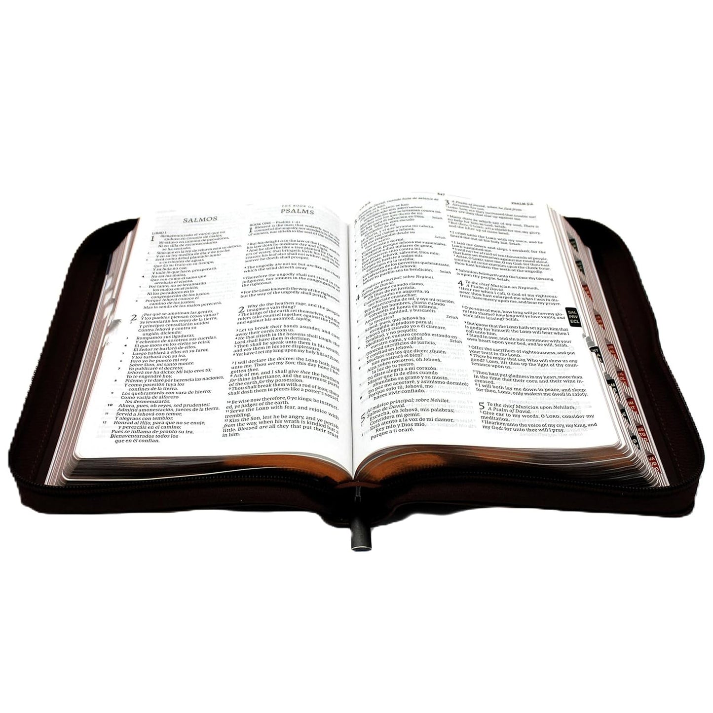 Biblia Bilingue Reina Valera 1960/ King James color Cafe