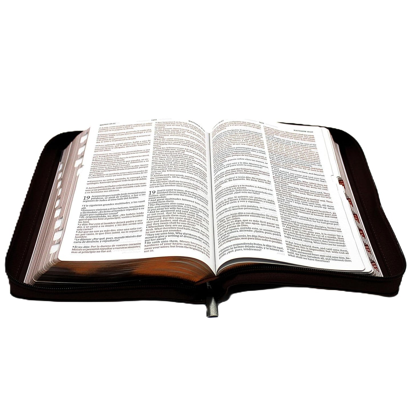 Biblia Bilingue Reina Valera 1960/ King James color Cafe