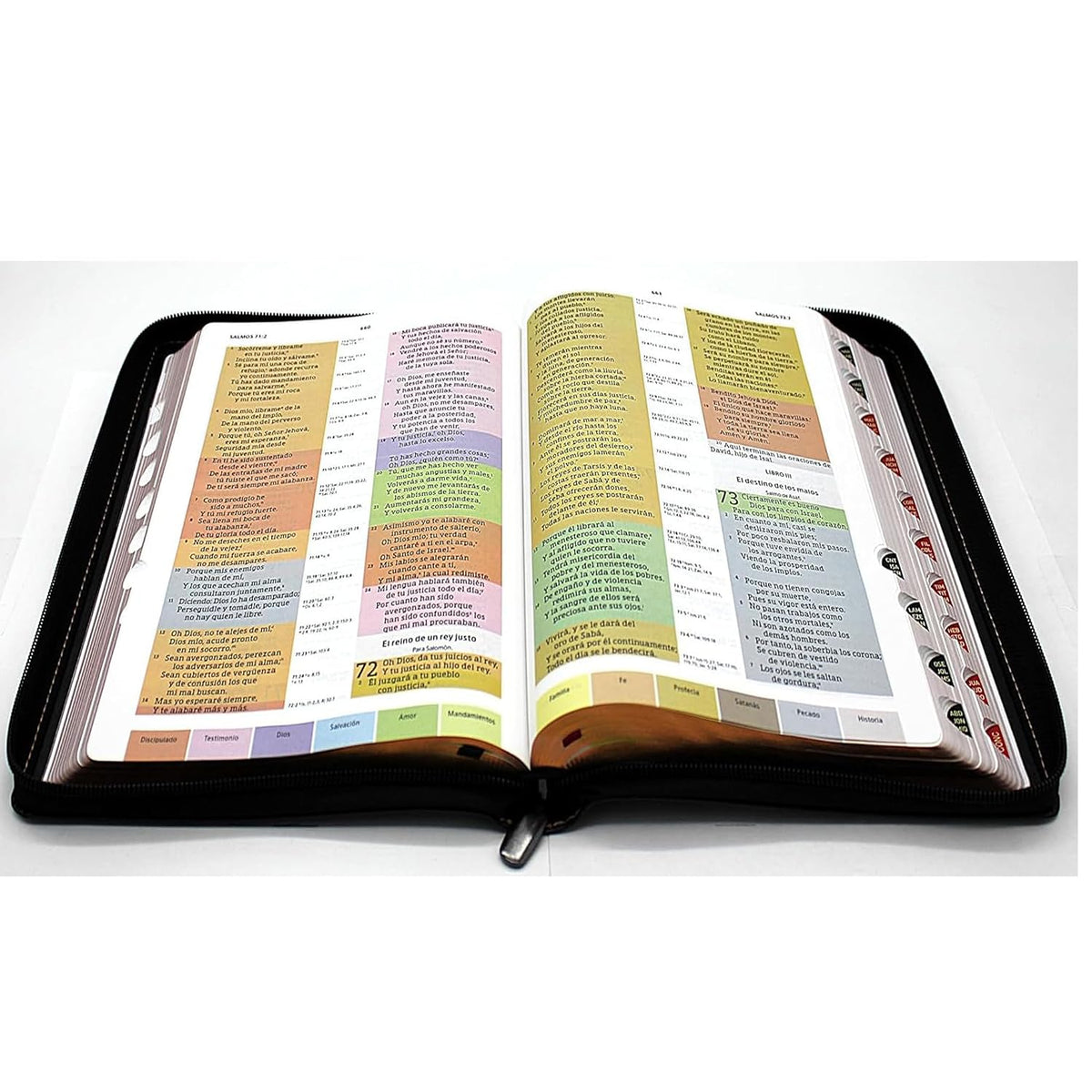 Biblia de Estudio Reina Valera 1960 Arco Iris Edicion Especial con Letra Grande color Negro