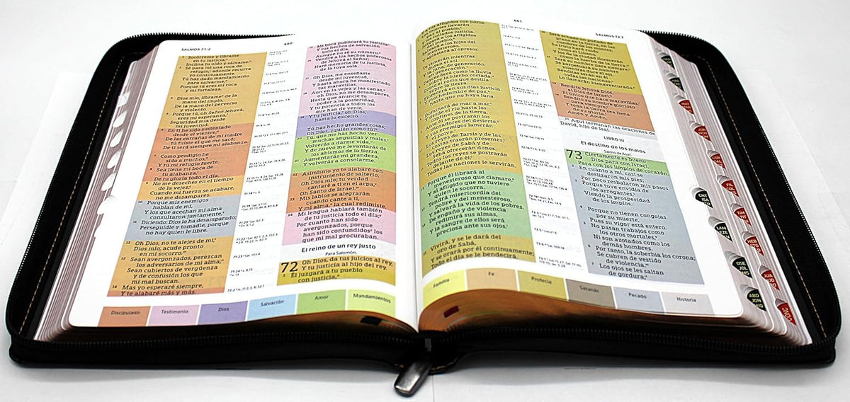 Biblia de Estudio Reina Valera 1960 Arco Iris Edicion Especial con Letra Grande color Negro