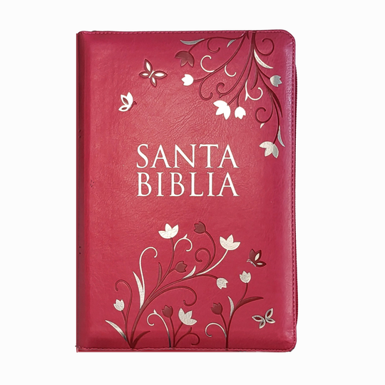 Biblia Letra Gigante Tamano Manual Con Cierre, Indice en 14 puntos