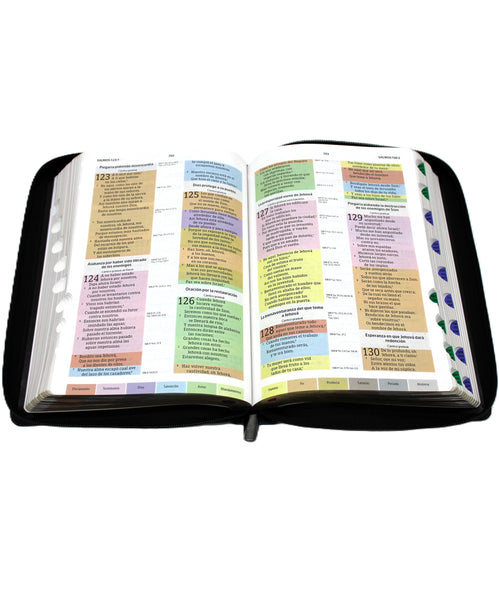 Biblia de Estudio Arco Iris Reina Valera 1960 en color negro con Cierre, Indice y  Estuche de proteccion