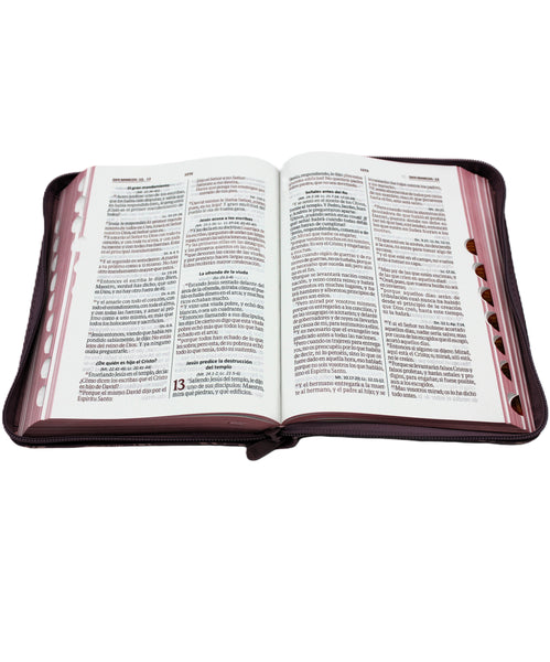 Biblia Reina Valera 1960 Letra Grande Tamano Manual con Cierre y Indice color Rosa con flores