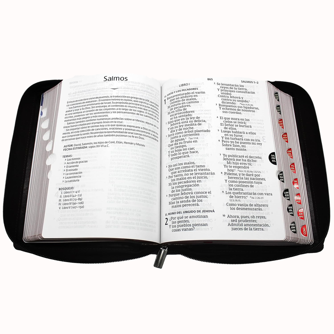 Biblia Letra Gigante Tamano Manual Con Cierre, Indice en color Caoba 14 puntos