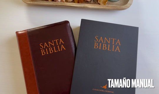 Biblia Letra Gigante Tamano Manual Con Cierre, Indice en color 2 Tonos 14 puntos