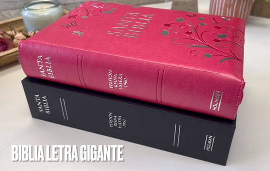 Biblia Letra Gigante Tamano Manual Con Cierre, Indice en 14 puntos