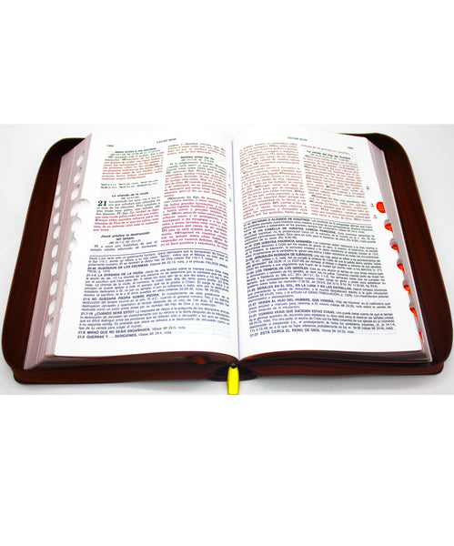 Biblia de Estudio Reina Valera 1960 Vida Plena con Cierre Indice  en color Caoba y Estuche de Proteccion