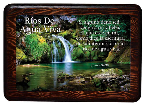 Cuadro de Juan 7:37-38/ Rios de Agua Viva