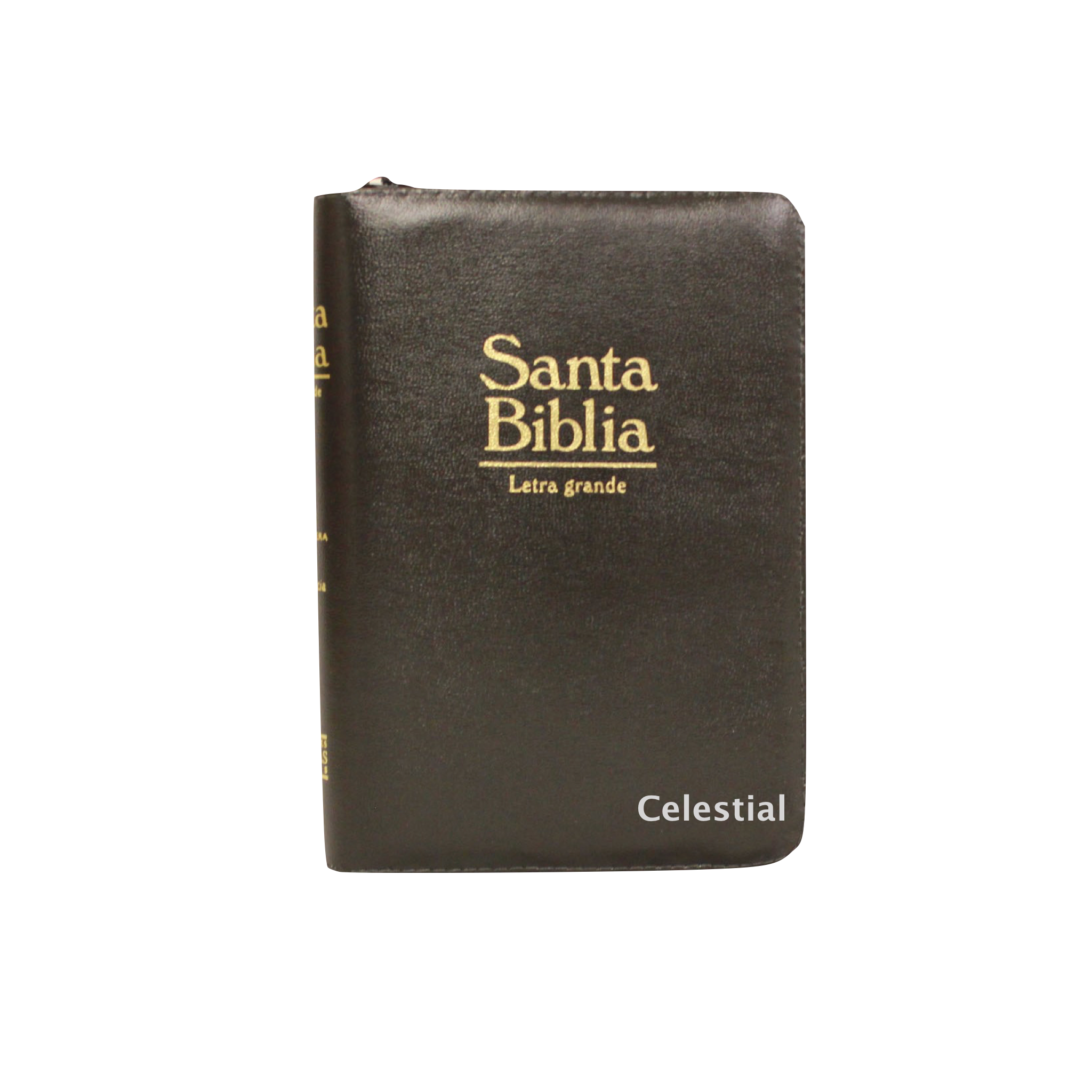 Biblia Letra Grande Tamaño Manual Colombiano Negro